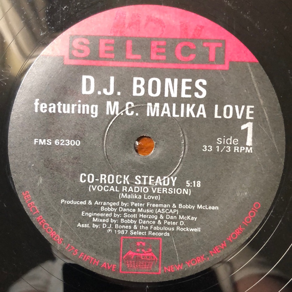 D. J. Bones Featuring M. C . Malika Love Co-Rock Steady Vinyl Album '87